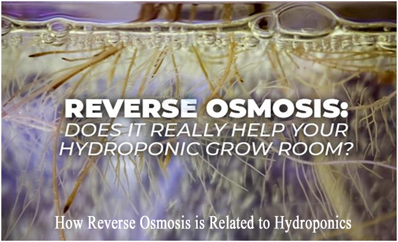 hydroponic RO system, best reverse osmosis system for hydroponics, water treatment for hydroponics